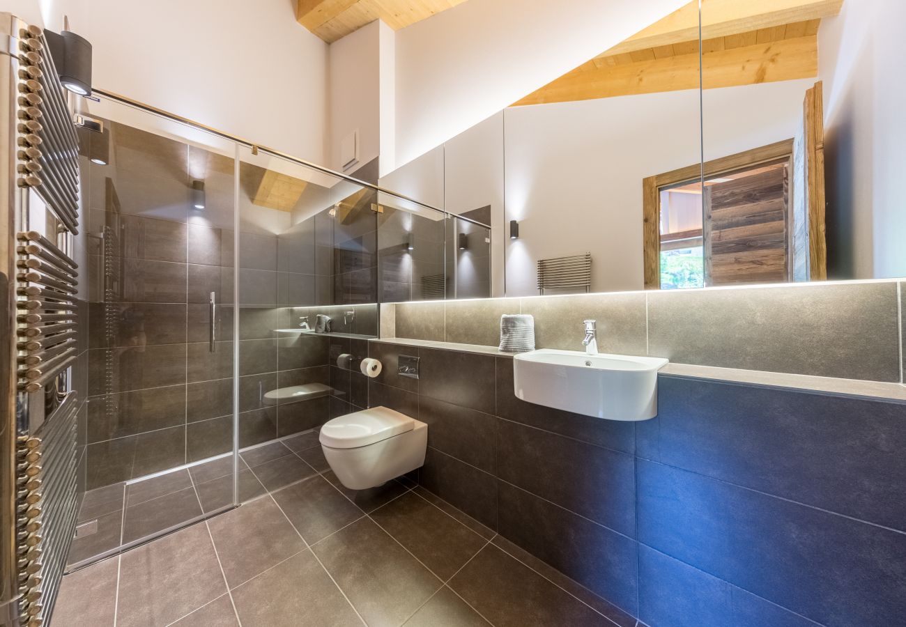 Altiservices Grimpeur Chalet luxe Nendaz 4 Vallées rental