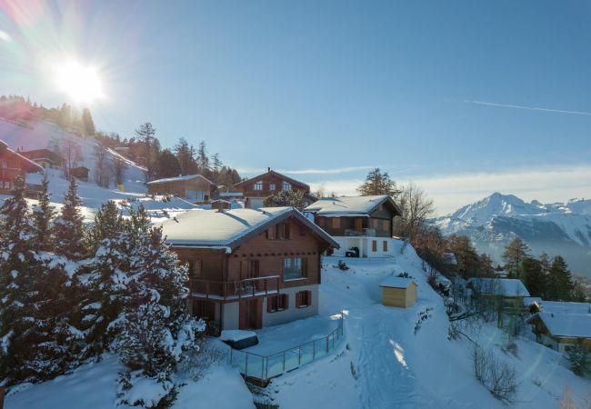 Chalet in Haute-Nendaz - Chalet Riquet - ski-in/out - luxe