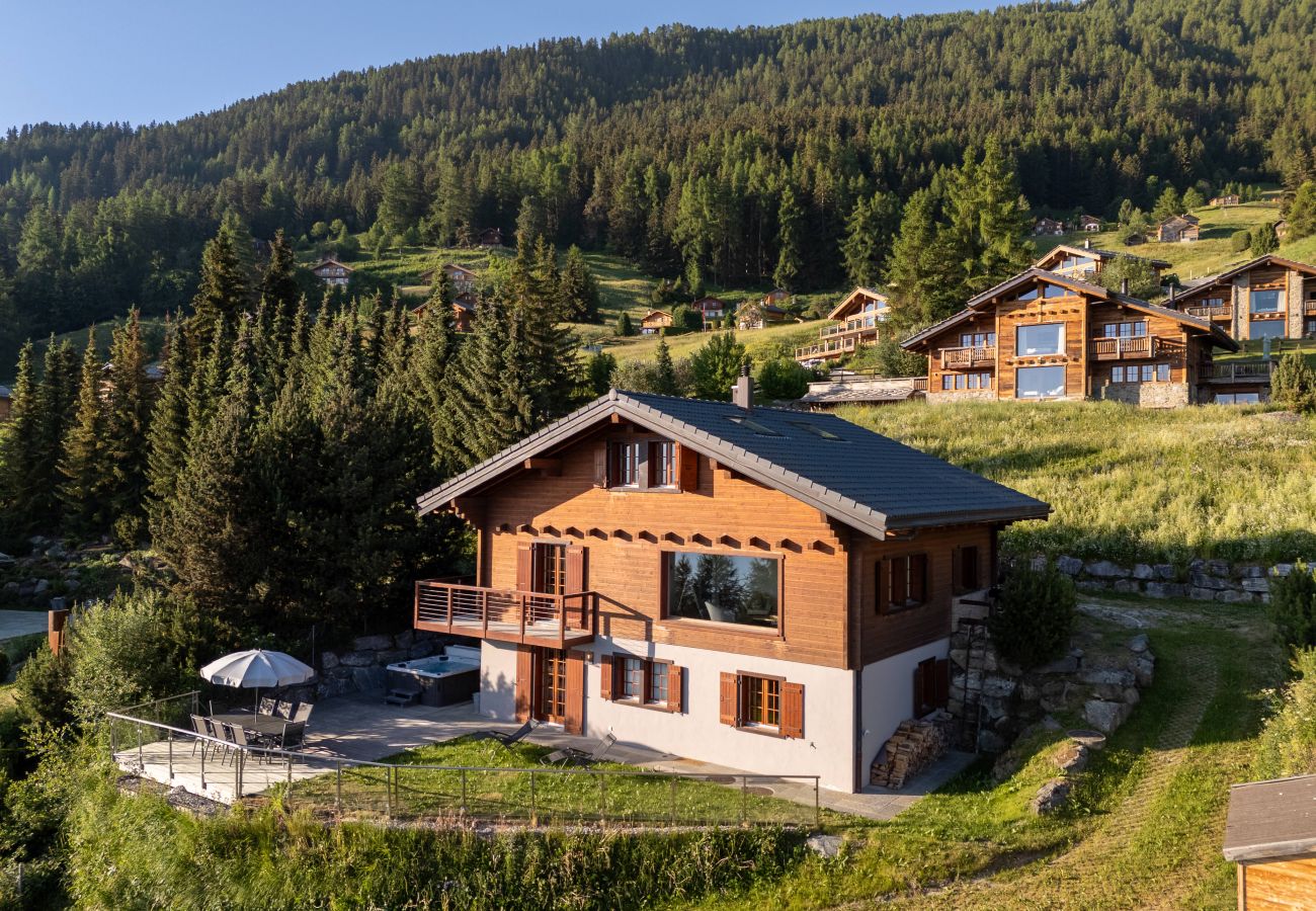 Chalet in Haute-Nendaz - Chalet Riquet - ski-in/out - luxe