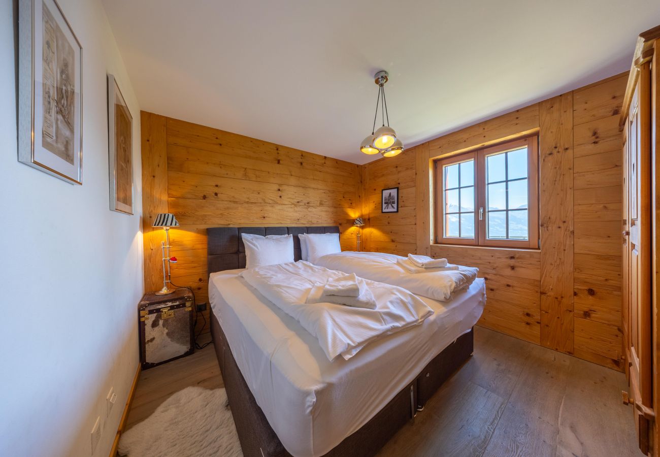 Chalet in Haute-Nendaz - Chalet Riquet - ski-in/out - luxe