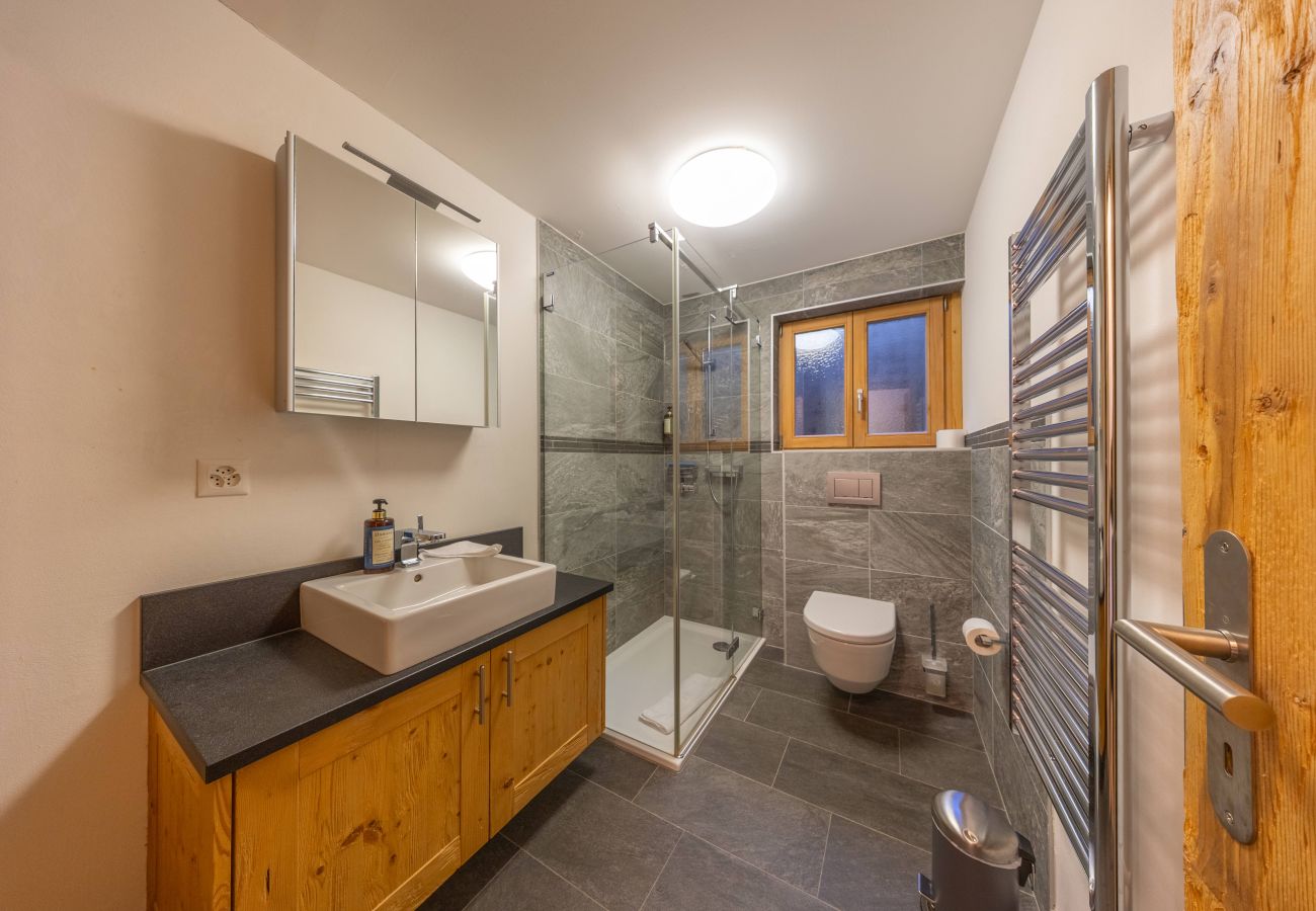 Chalet in Haute-Nendaz - Chalet Riquet - ski-in/out - luxe