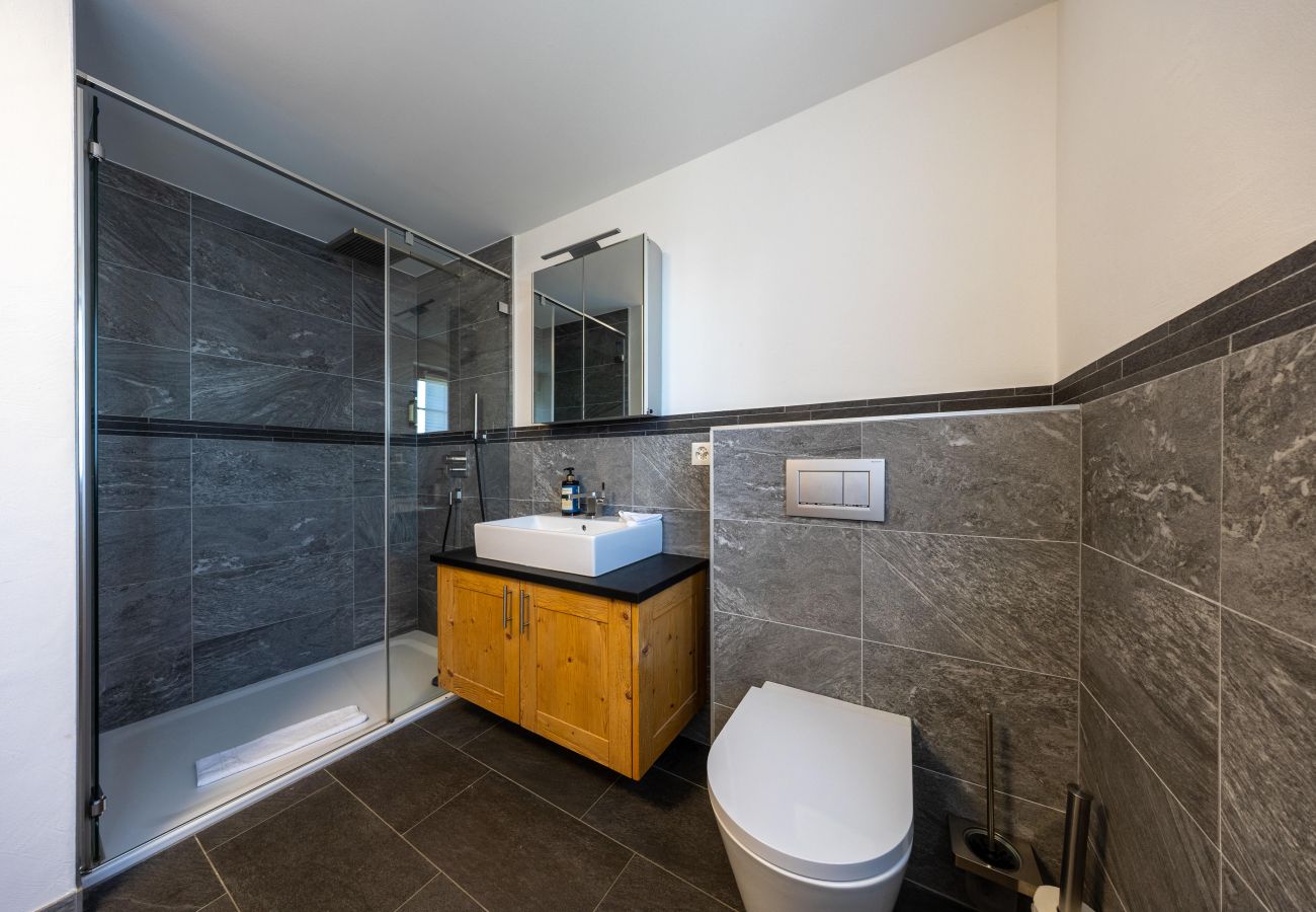 Chalet in Haute-Nendaz - Chalet Riquet - ski-in/out - luxe