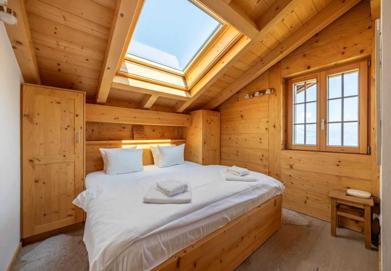 Chalet in Haute-Nendaz - Chalet Riquet - ski-in/out - luxe