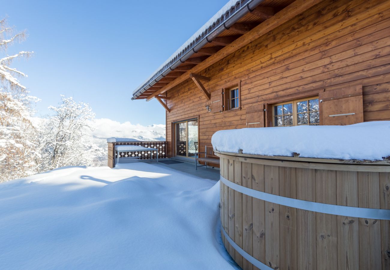 Nid Blanc Chalet Nendaz 4 Vallées rental