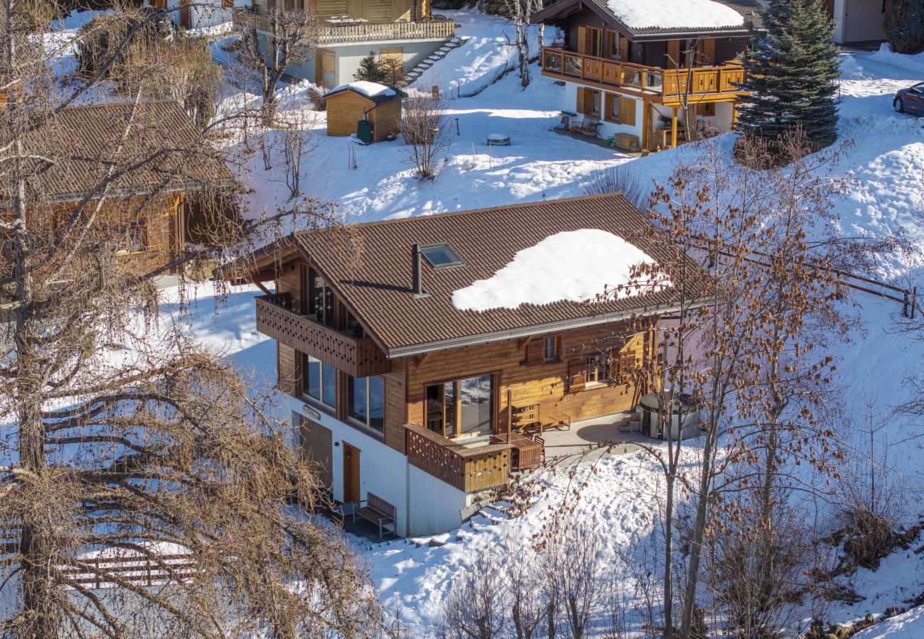 Chalet in Haute-Nendaz - Chalet Nid Blanc wood burning hottub