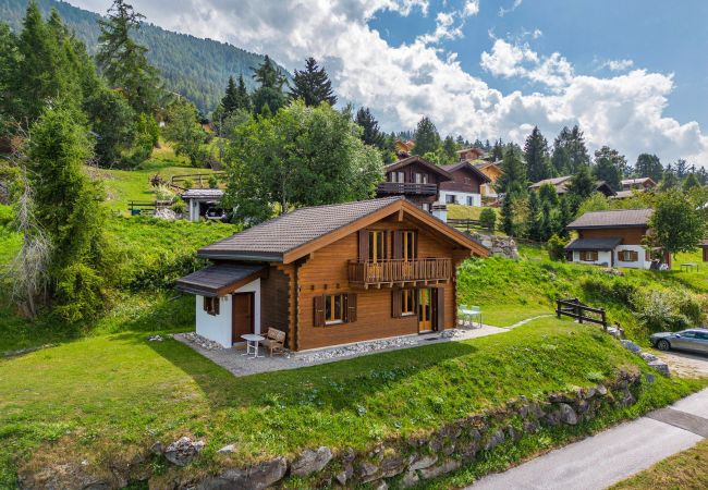 Villa in Haute-Nendaz - Chalet Les 2 Sabots - ski/in-out