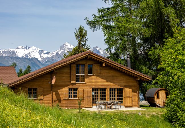 Villa in Haute-Nendaz - Chalet Pierre Blanche - Ski-in/out