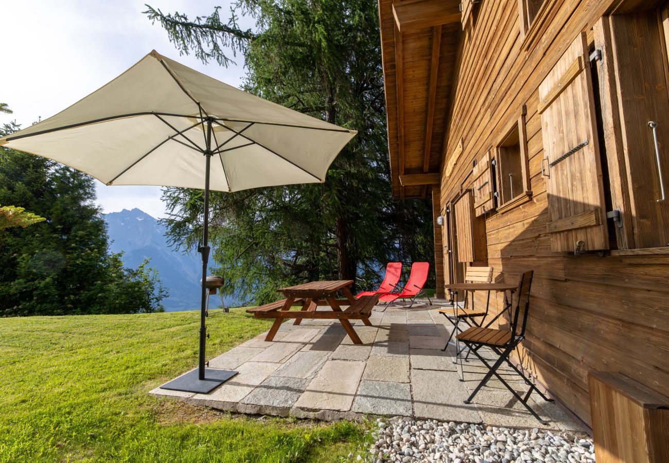 Chalet in Haute-Nendaz - Chalet Pierre Blanche - Ski-in/out