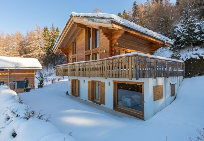 Chalet in Haute-Nendaz - Chalet Asphodel