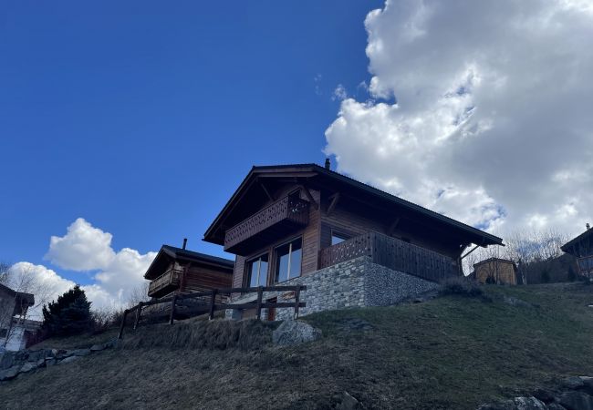 Chalet in Haute-Nendaz - Chalet Freya Nendaz 4 Vallées