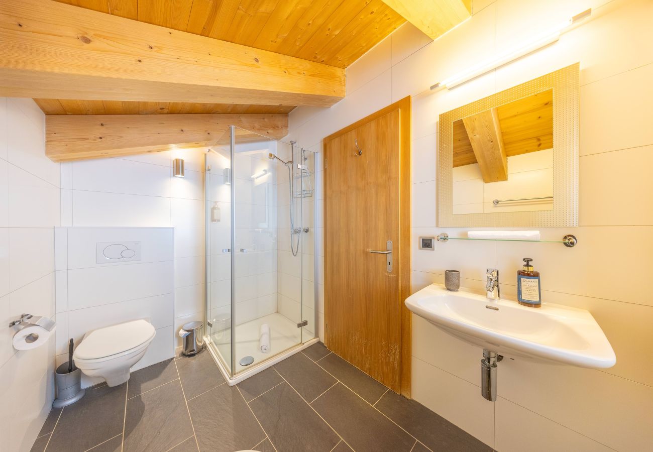 Chalet in Haute-Nendaz - Chalet Enchanteur sauna, jacuzzi, 13pax