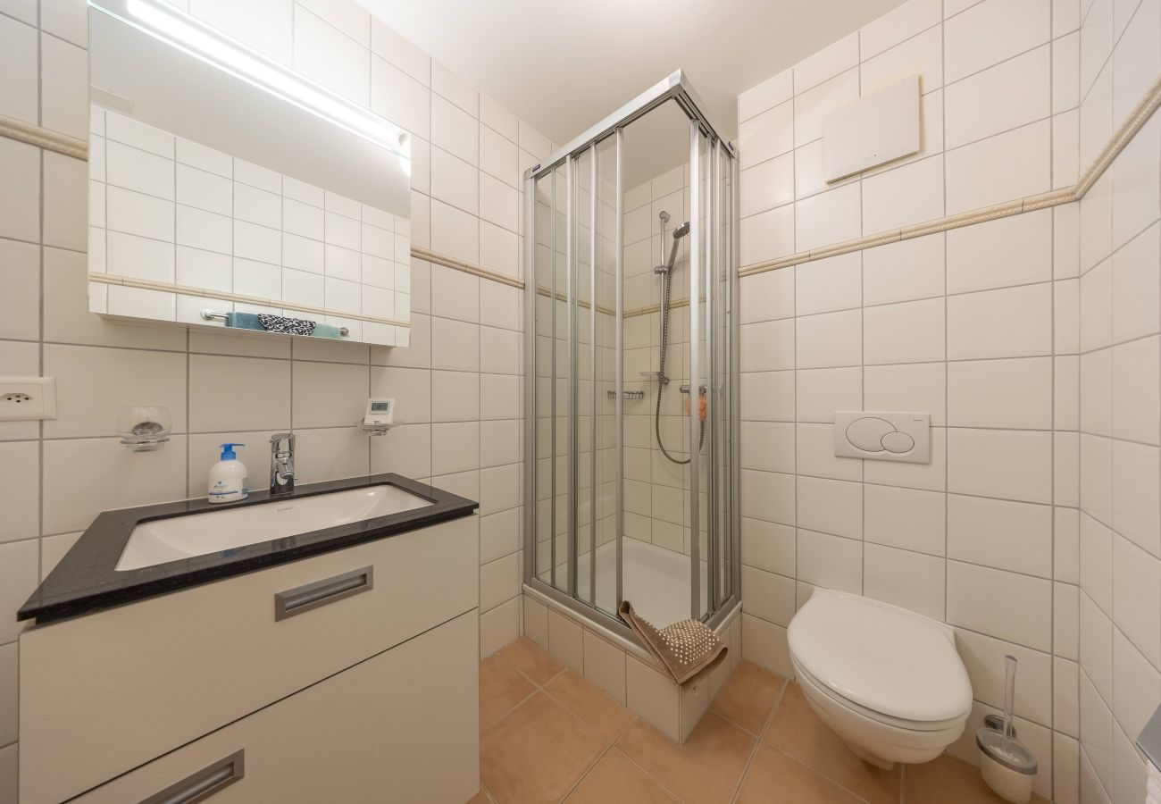 Apartment in Haute-Nendaz - Soldanelles 101