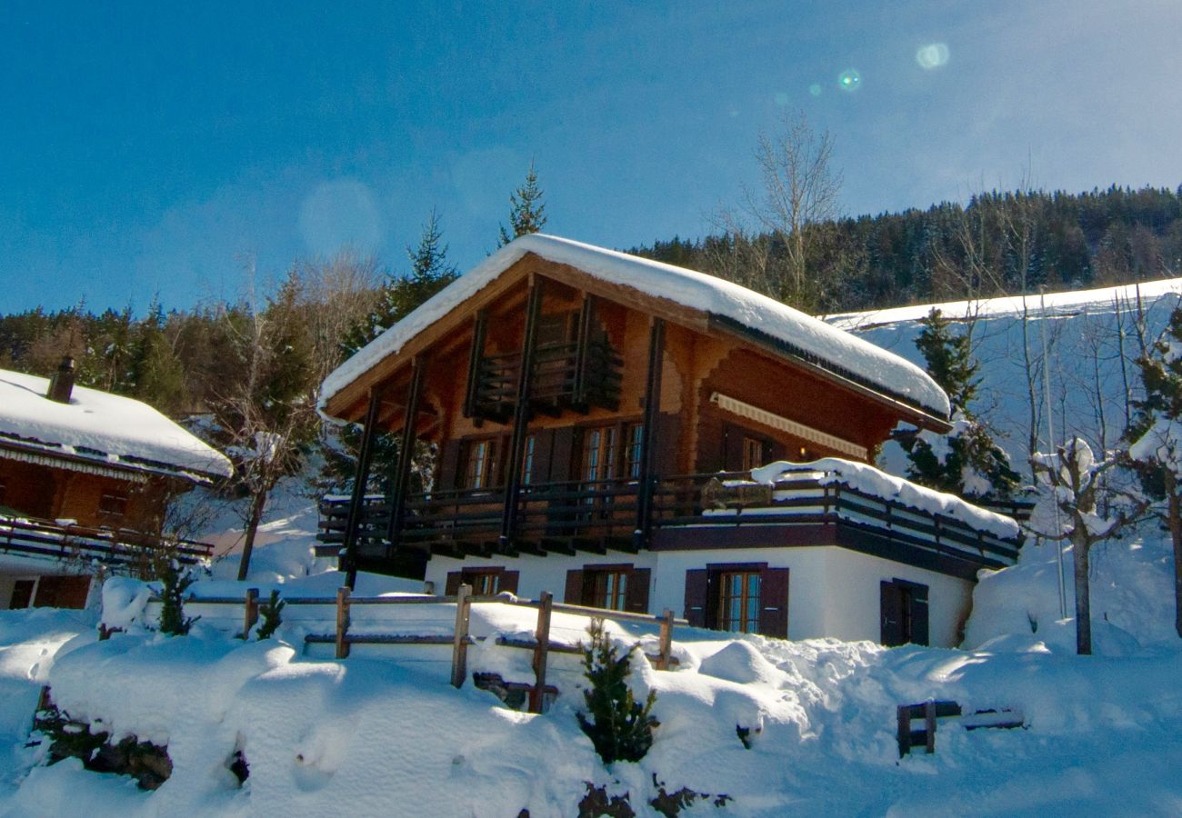 Chalet in Haute-Nendaz - Chalet Lisa, ski-in/out, accessible by car