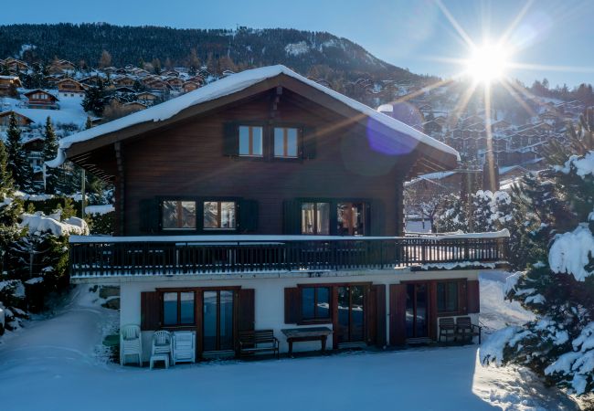 Chalet in Haute-Nendaz - Chalet La Chenevière