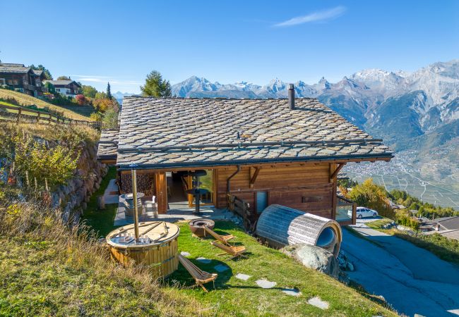 Chalet in Haute-Nendaz - Chalet Ciel Etoilé - vue splendide