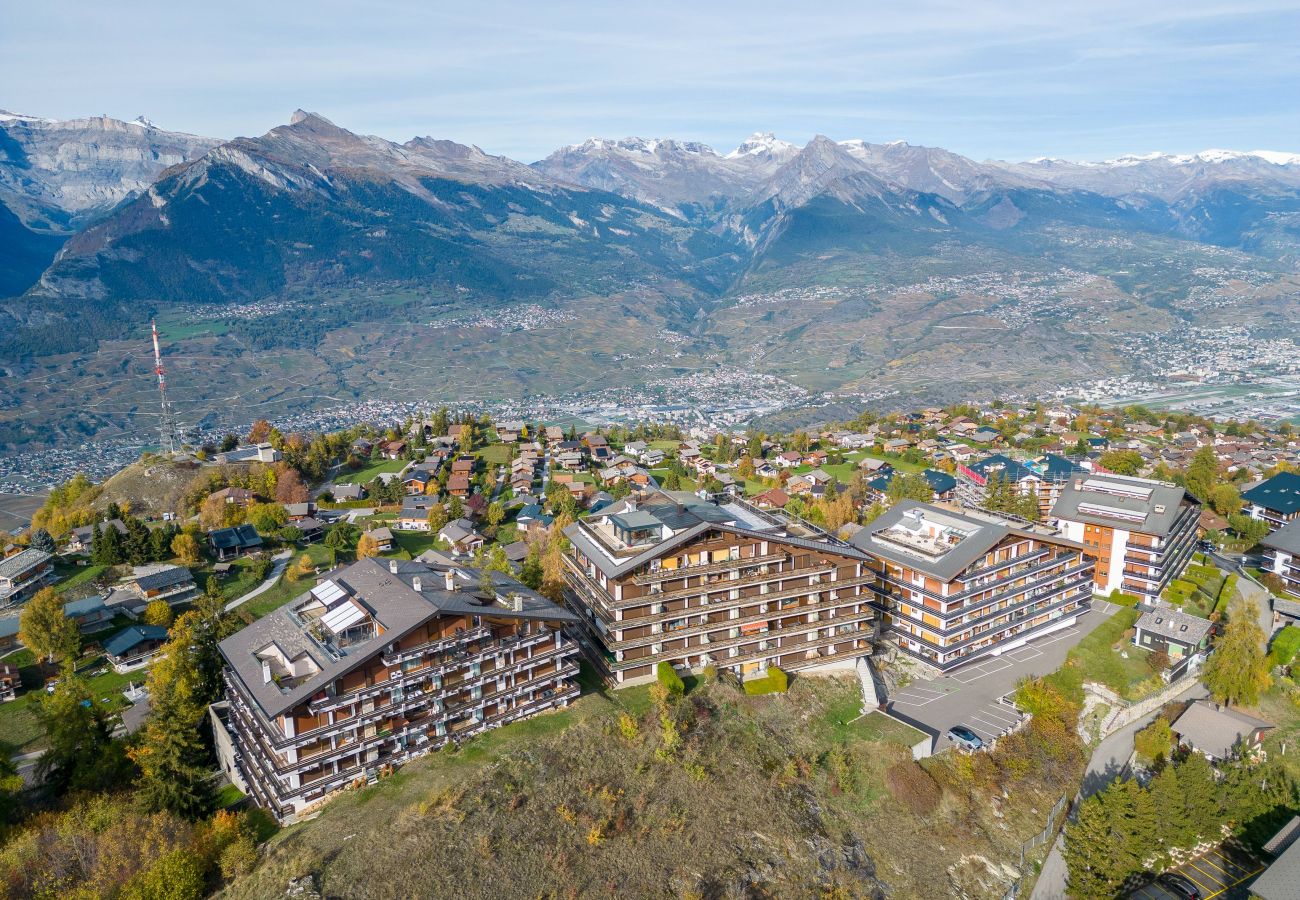 Apartment in Haute-Nendaz - Nid d'Aigle J0 - Cosy, proche centre, 2 chambres