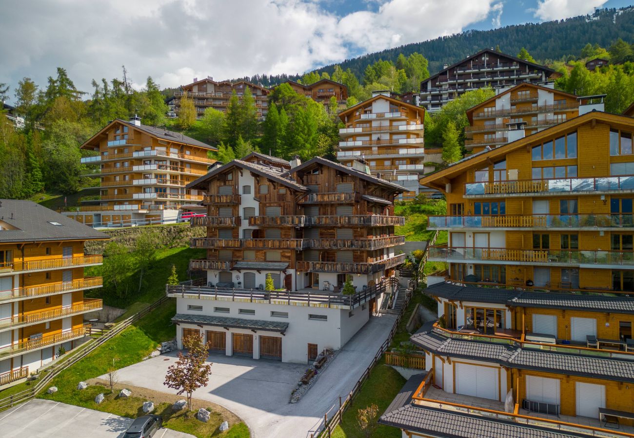 Apartment in Haute-Nendaz - Elisabeth - close to the centre, view