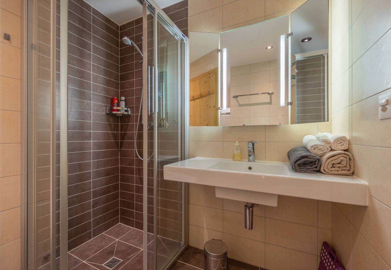 Apartment in Haute-Nendaz - Elisabeth - close to the centre, view