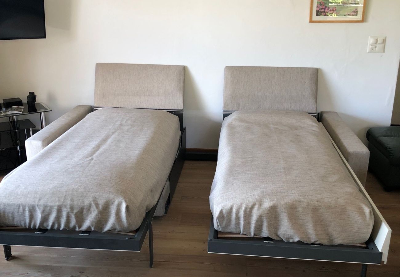 Apartment in Haute-Nendaz - Elisabeth - close to the centre, view