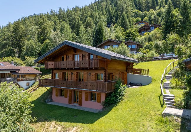 Villa in Haute-Nendaz - Chalet Chocolat - Great view