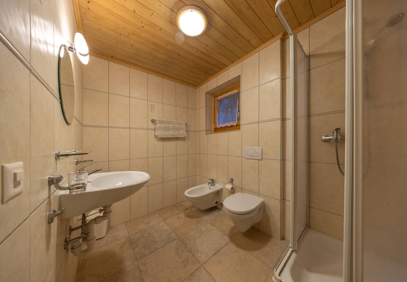 Chalet in Haute-Nendaz - Chalet Chocolat - Great view