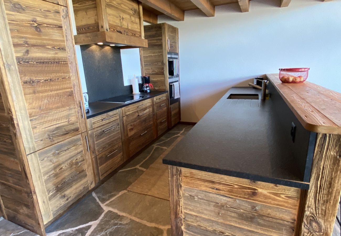 Apartment in Haute-Nendaz - Grimpeur  9 ski in/out, Spa Access