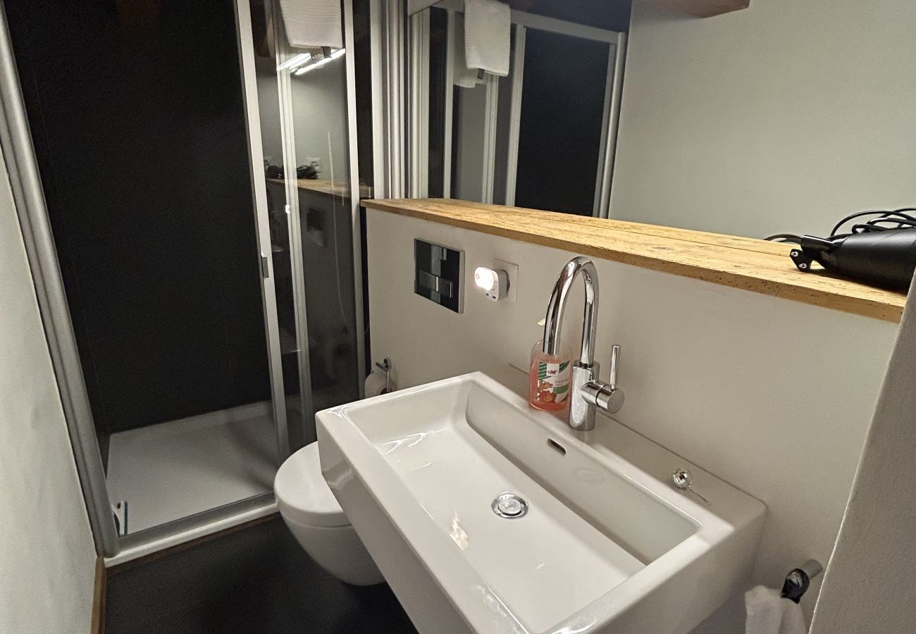 Apartment in Haute-Nendaz - Grimpeur  9 ski in/out, Spa Access