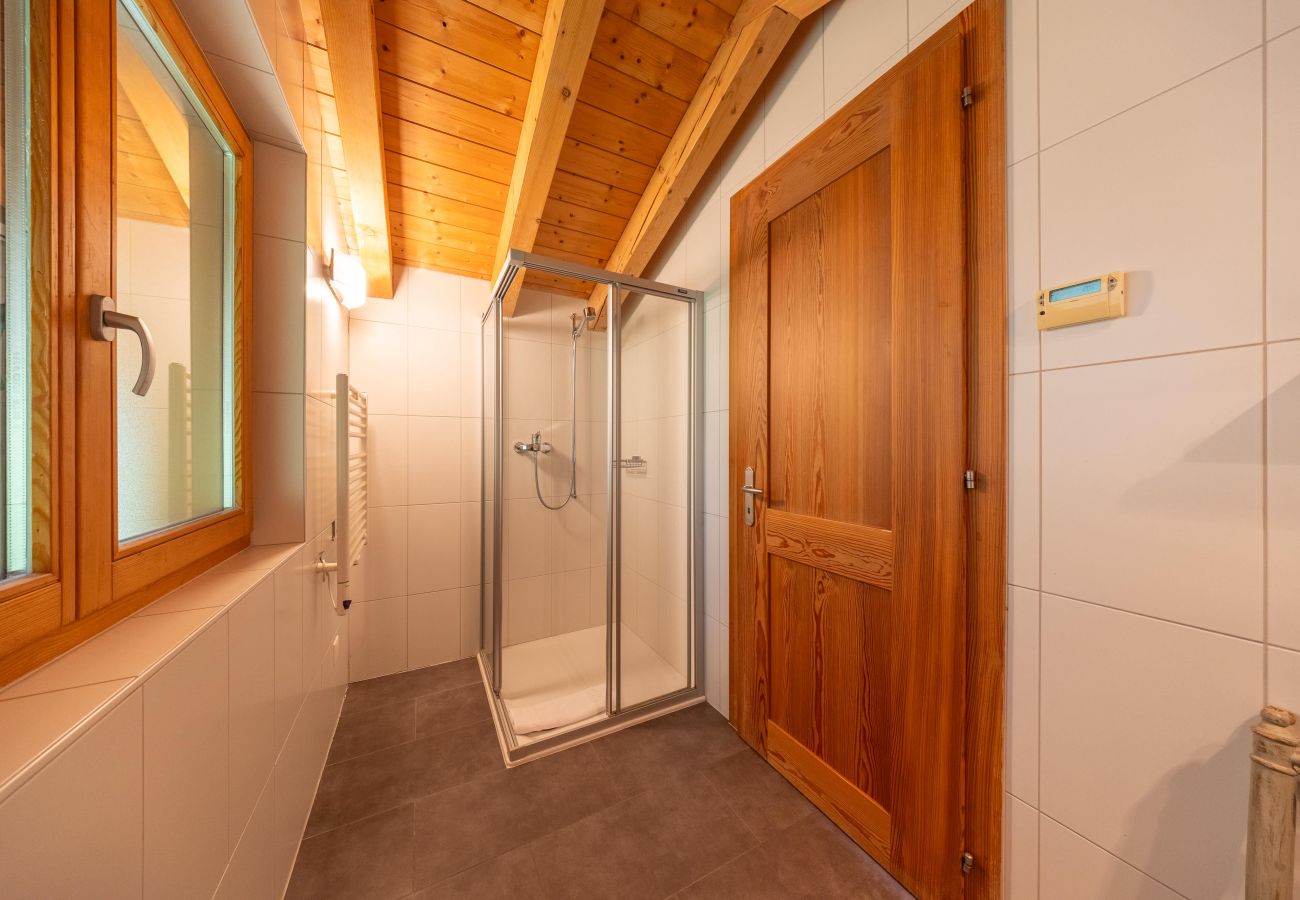 Chalet in Haute-Nendaz - Chalet Nendaz - moderne et paisible