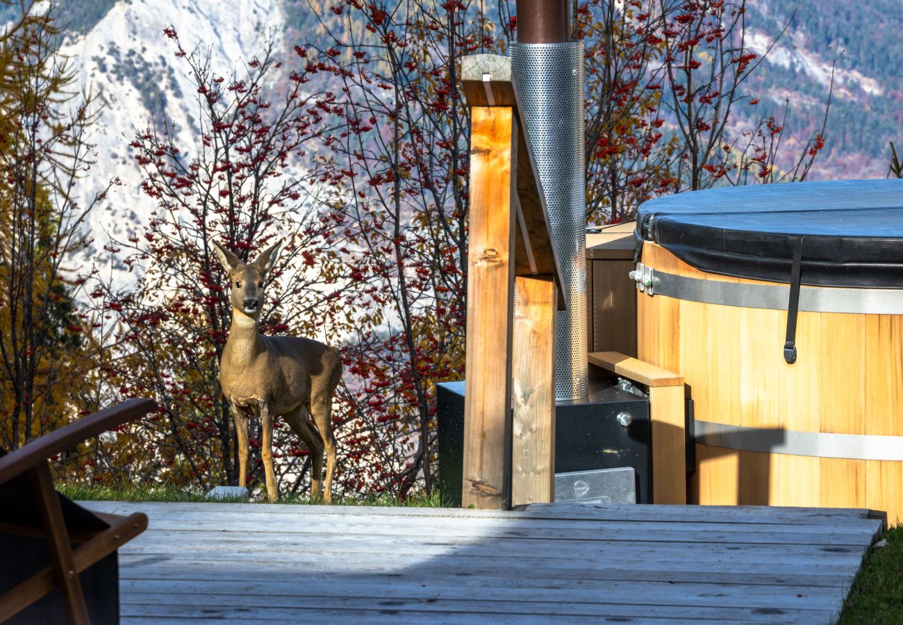 Chalet in Haute-Nendaz - Chalet Cimes and Dreams - Petit coin de paradis
