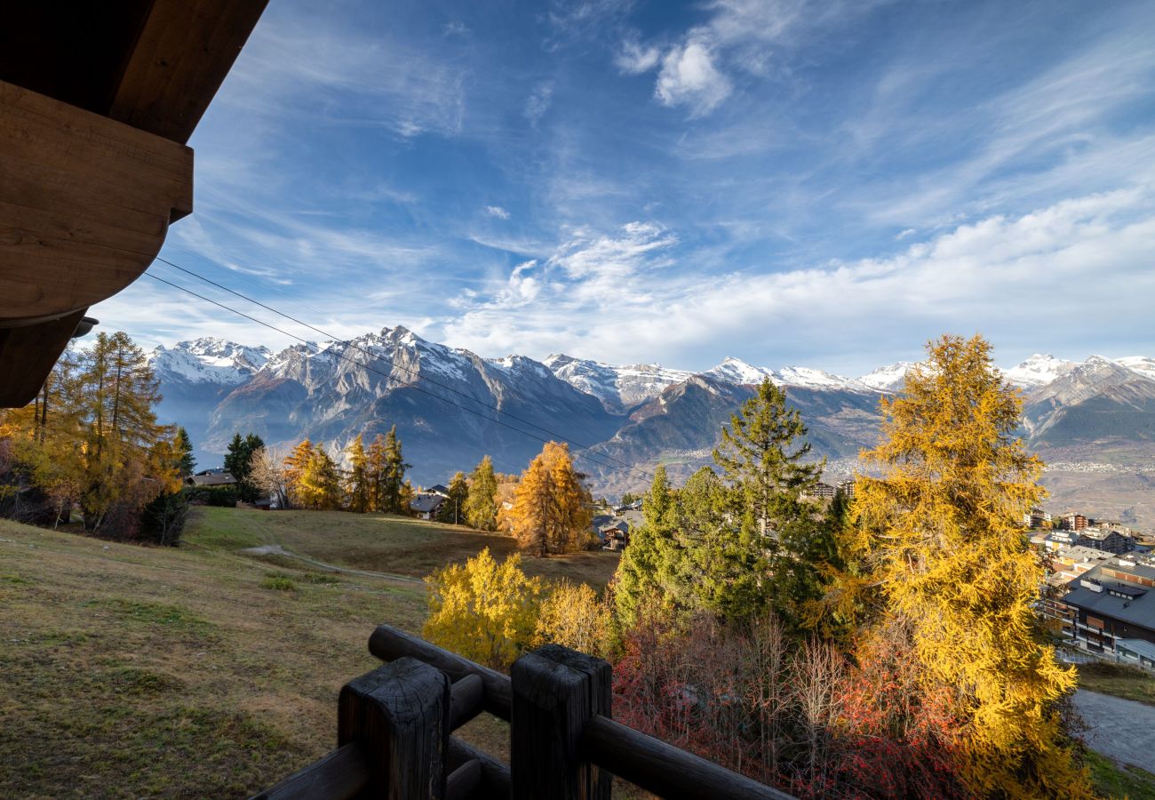 Chalet in Haute-Nendaz - Chalet Casse-Noisette wonderful, ski-in ski-out