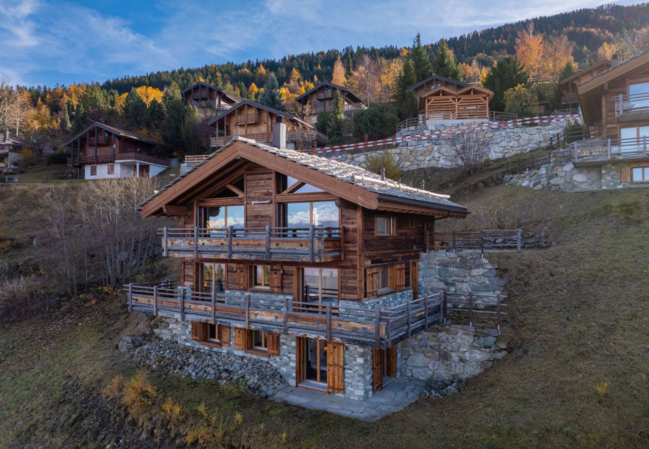 Chalet in Haute-Nendaz - Chalet Casse-Noisette wonderful, ski-in ski-out