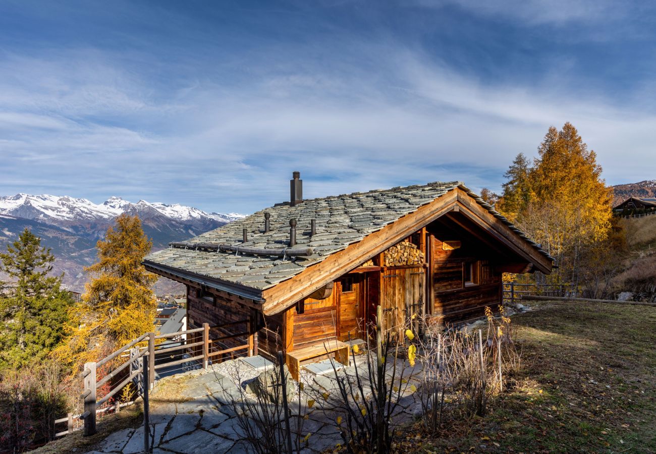 Chalet in Haute-Nendaz - Chalet Casse-Noisette wonderful, ski-in ski-out