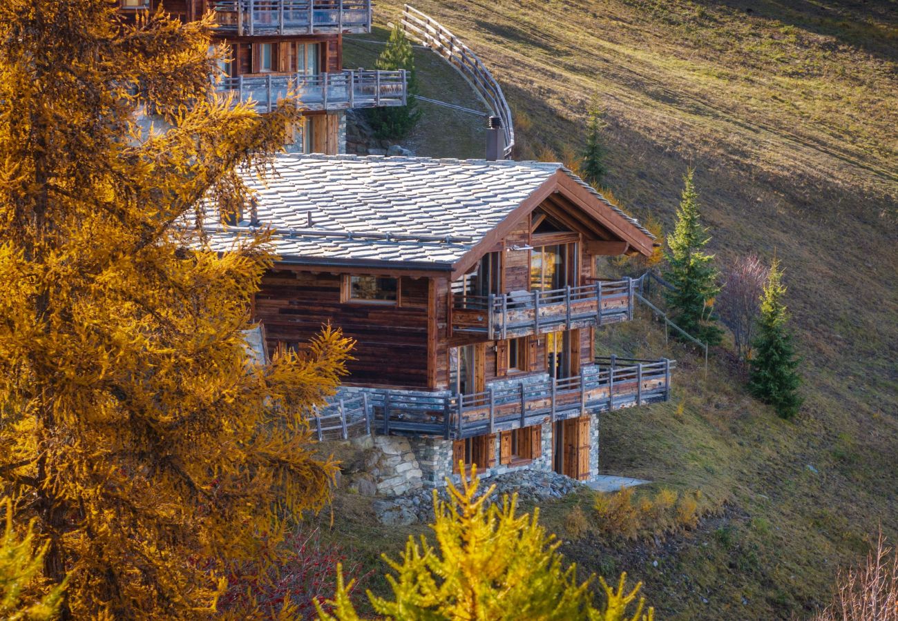 Chalet in Haute-Nendaz - Chalet Casse-Noisette wonderful, ski-in ski-out