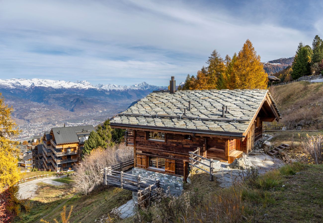 Chalet in Haute-Nendaz - Chalet Casse-Noisette wonderful, ski-in ski-out