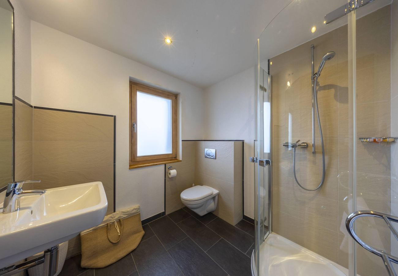 Chalet in Haute-Nendaz - Chalet Chevalier, gym, hot tub, sauna