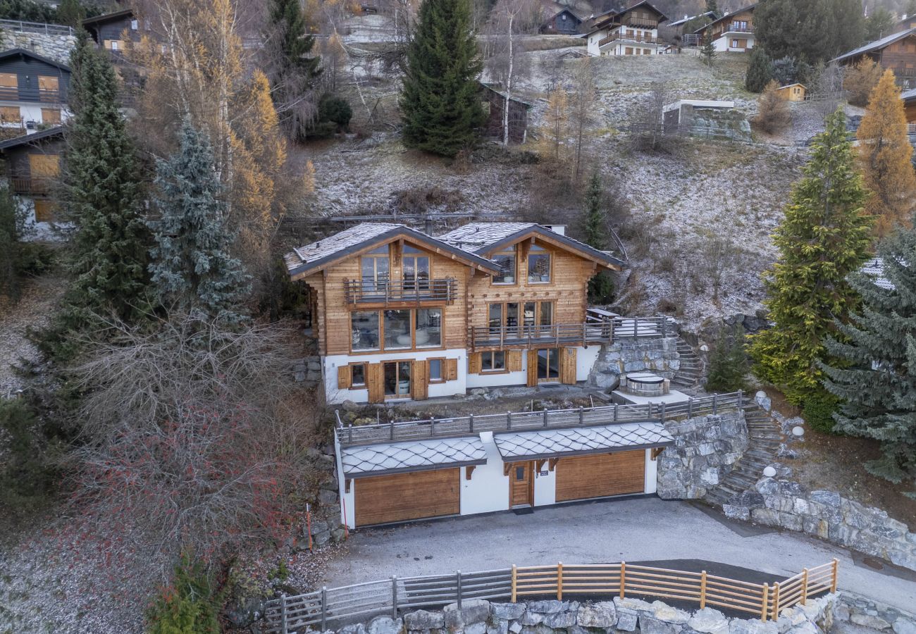 Chalet in Haute-Nendaz - Chalet Chevalier, gym, hot tub, sauna