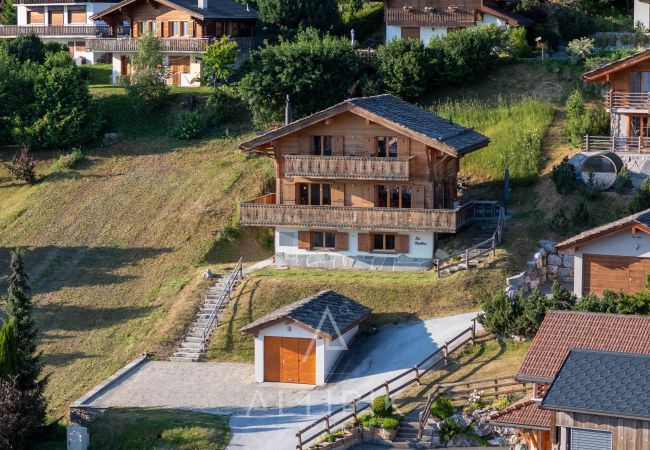 Villa in Haute-Nendaz - Chalet La Tirelire