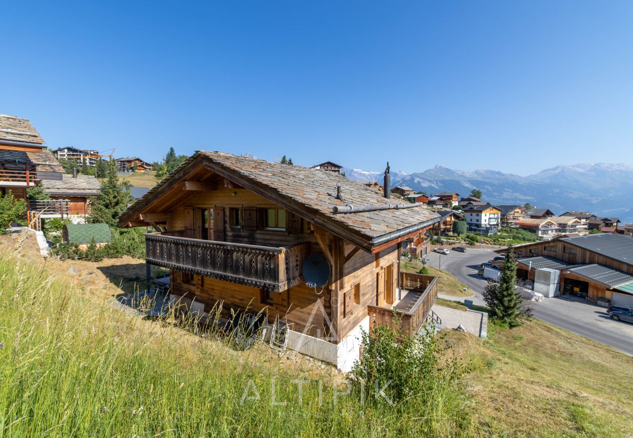 Chalet in Haute-Nendaz - Chalet La Tirelire
