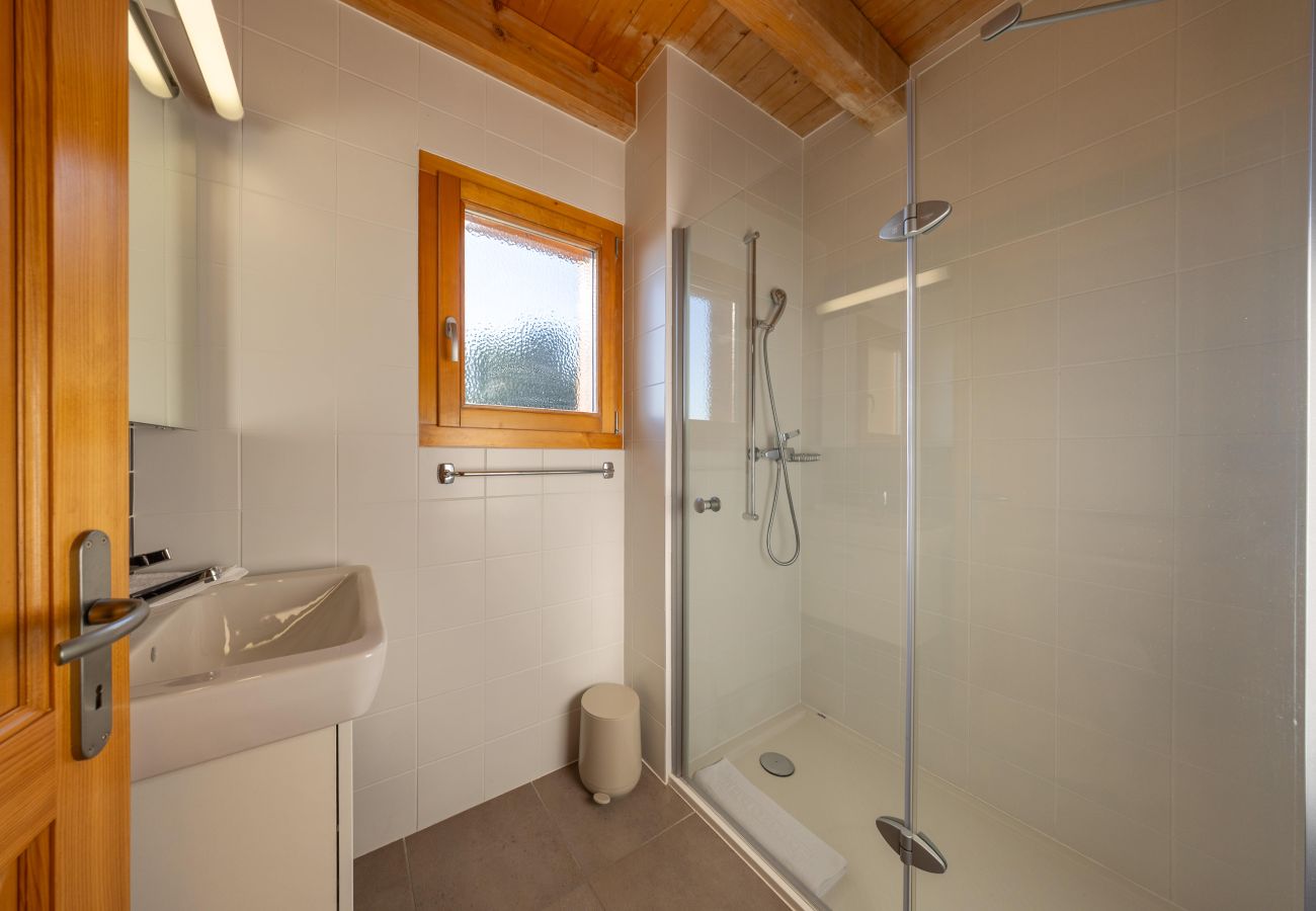Chalet in Haute-Nendaz - Chalet La Tirelire