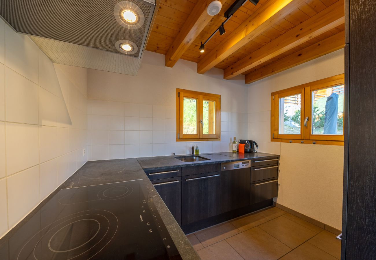 Chalet in Haute-Nendaz - Chalet La Tirelire