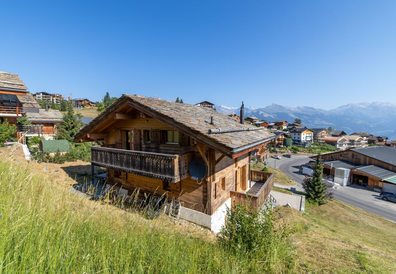 Chalet in Haute-Nendaz - Chalet La Tirelire