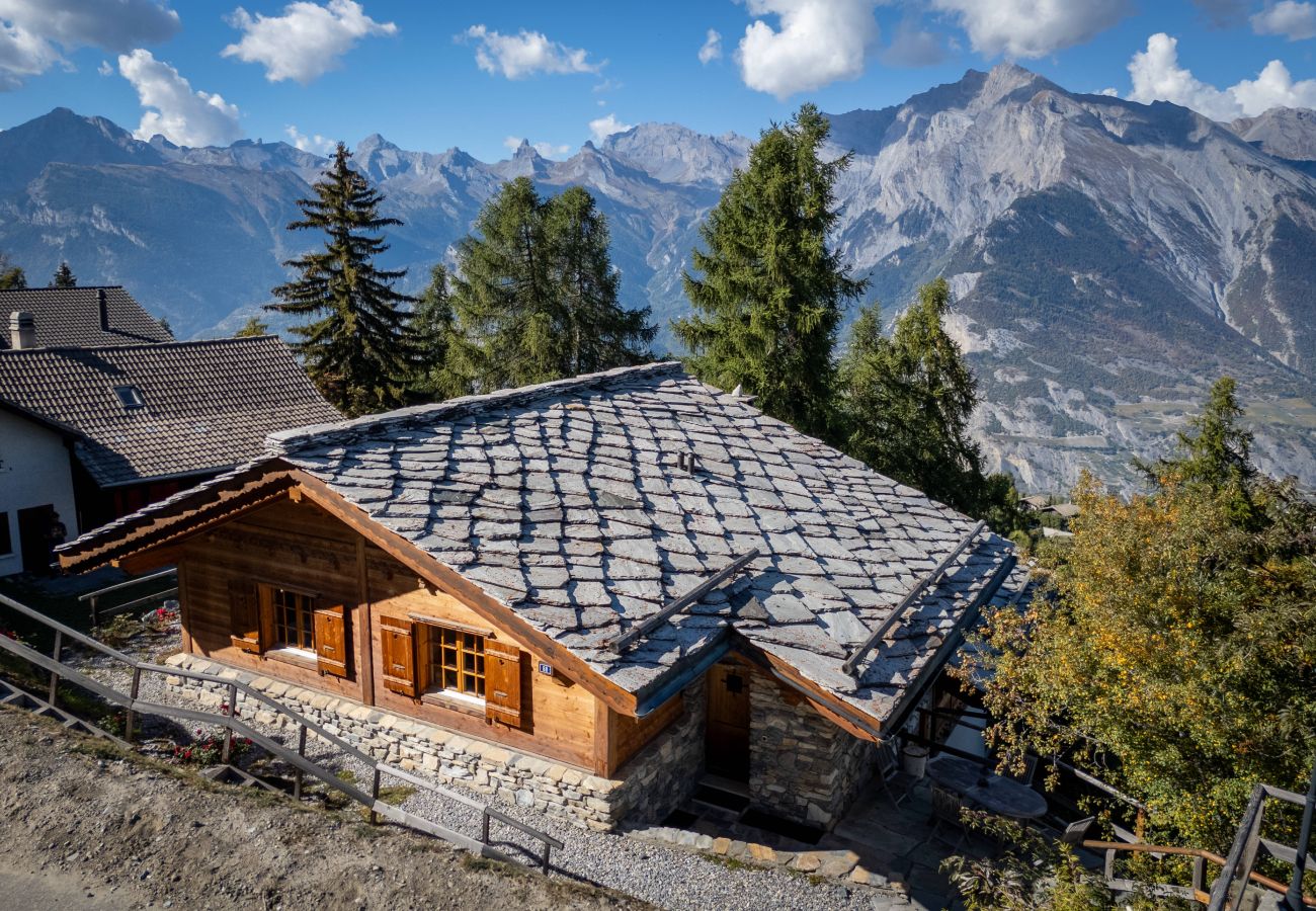 Chalet in Haute-Nendaz - Chalet la Vie en Rose
