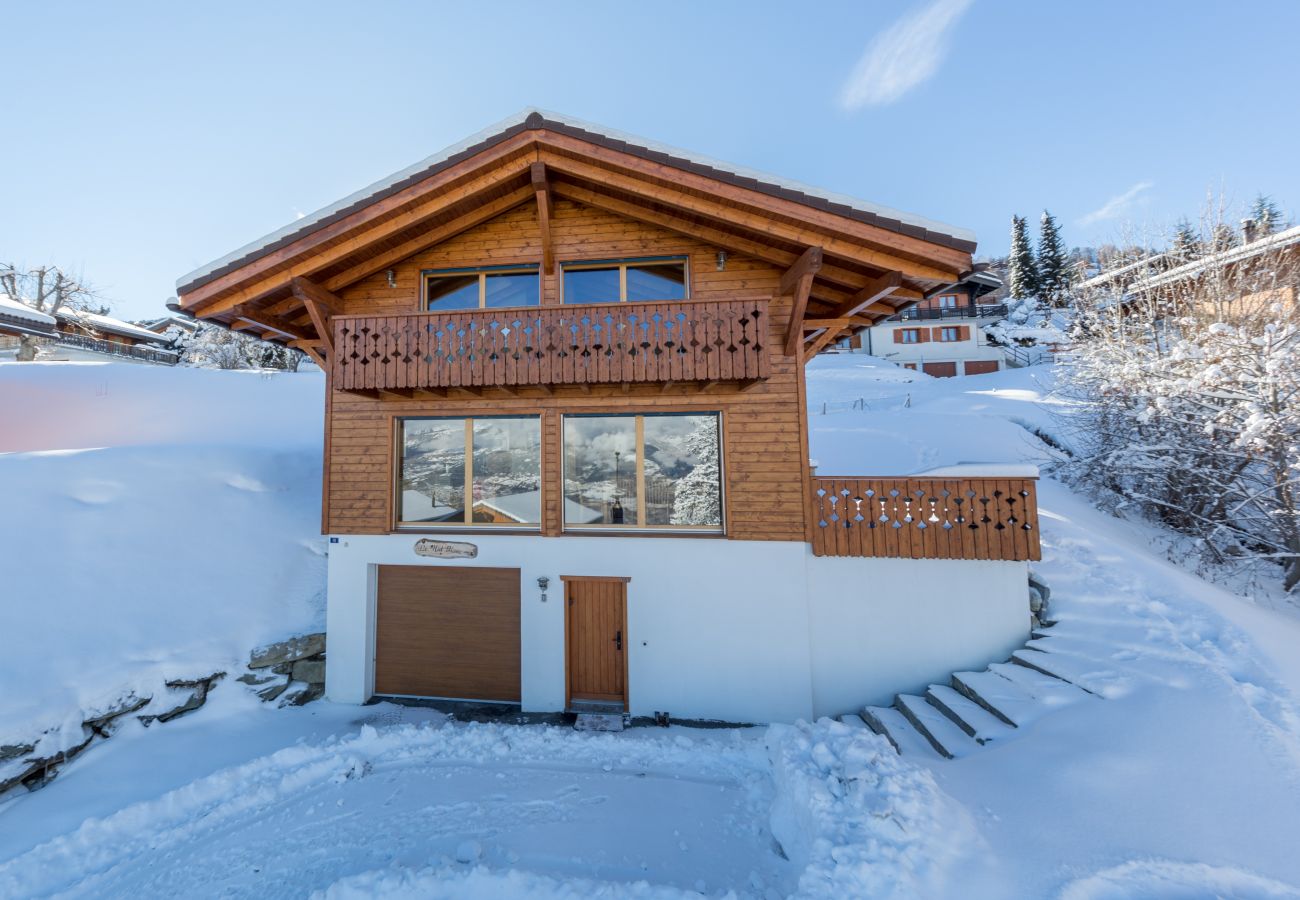 Nid Blanc Chalet Nendaz 4 Vallées location