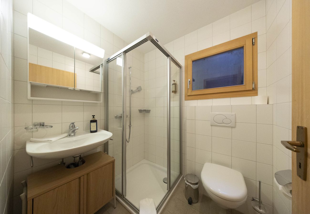 Chalet à Haute-Nendaz - Chalet Nid Blanc wood burning hottub