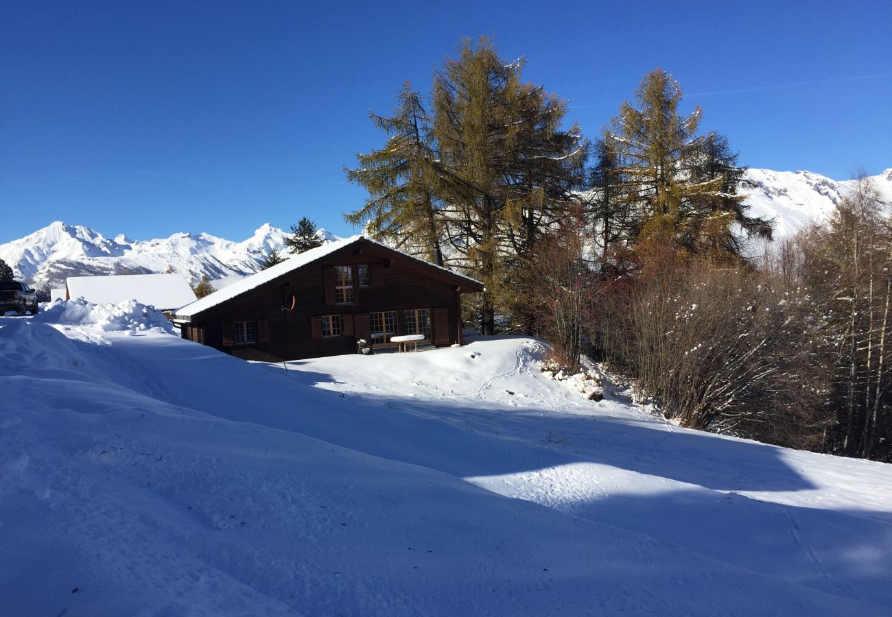 Pierre Blanche chalet Nendaz 4 Vallées location