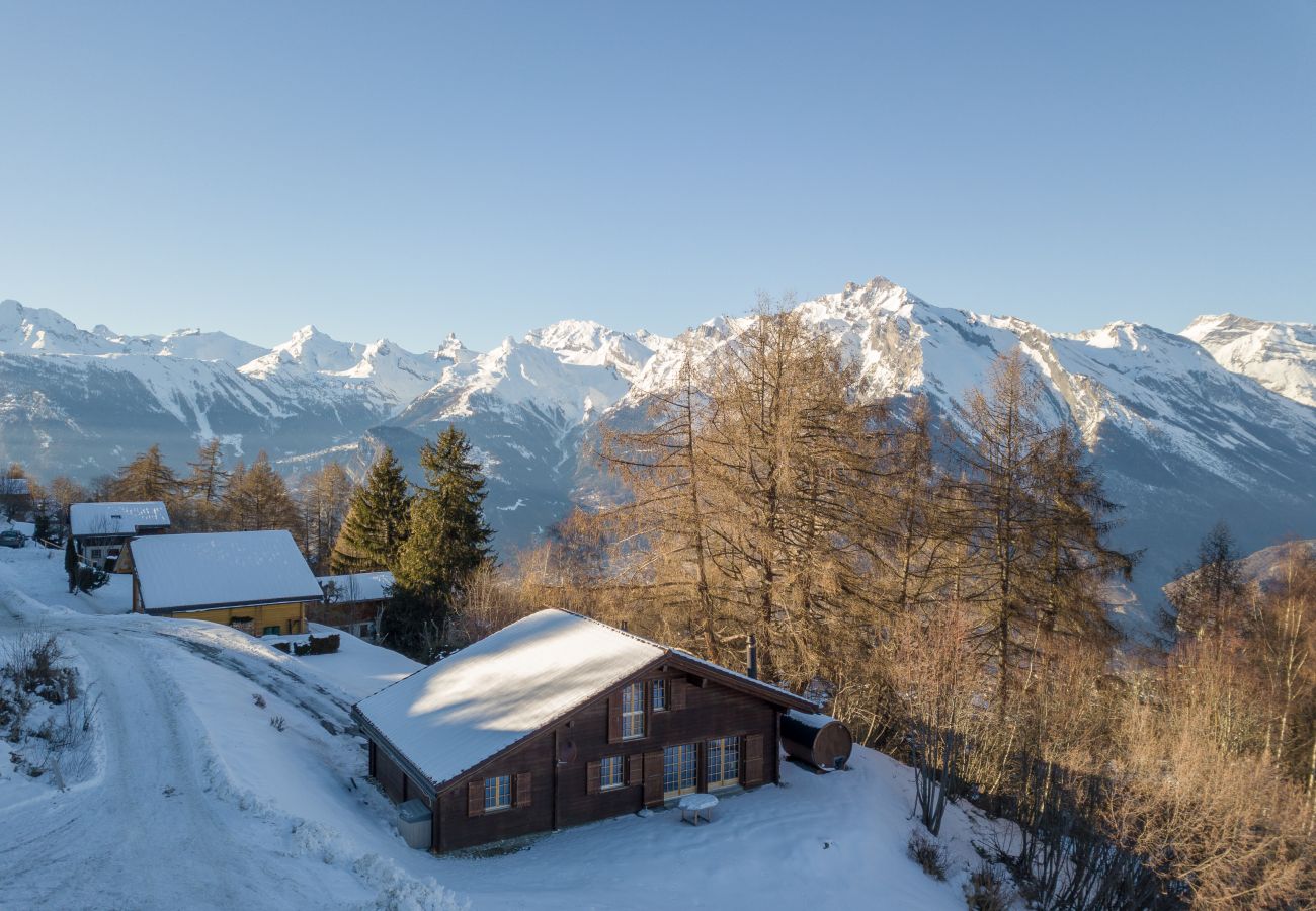 Pierre Blanche chalet Altiservices Nendaz 4 Vallées location