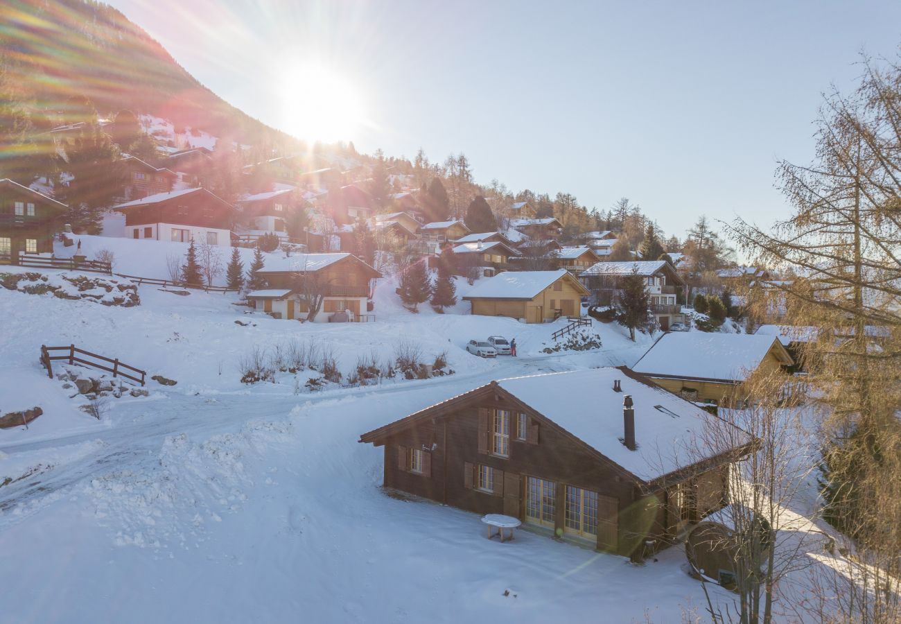 Pierre Blanche chalet Altiservices Nendaz 4 Vallées location