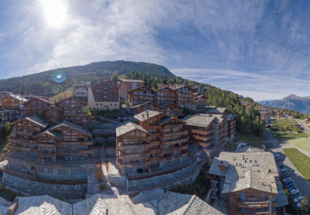 Appartement à Haute-Nendaz - Montagnard 12 - Spa Access