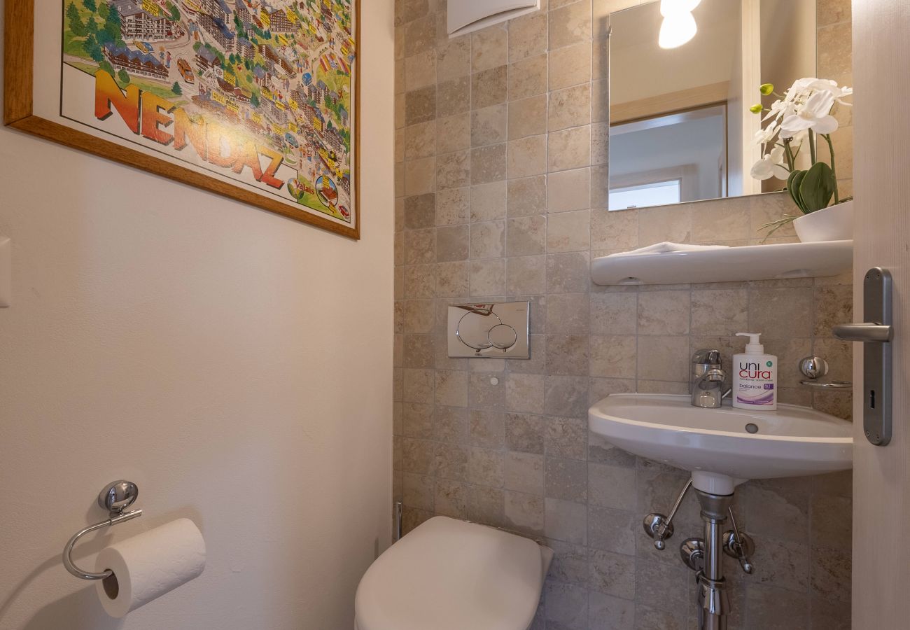 Appartement à Haute-Nendaz - Appartement Les Chouettes 21 aux pieds des pistes