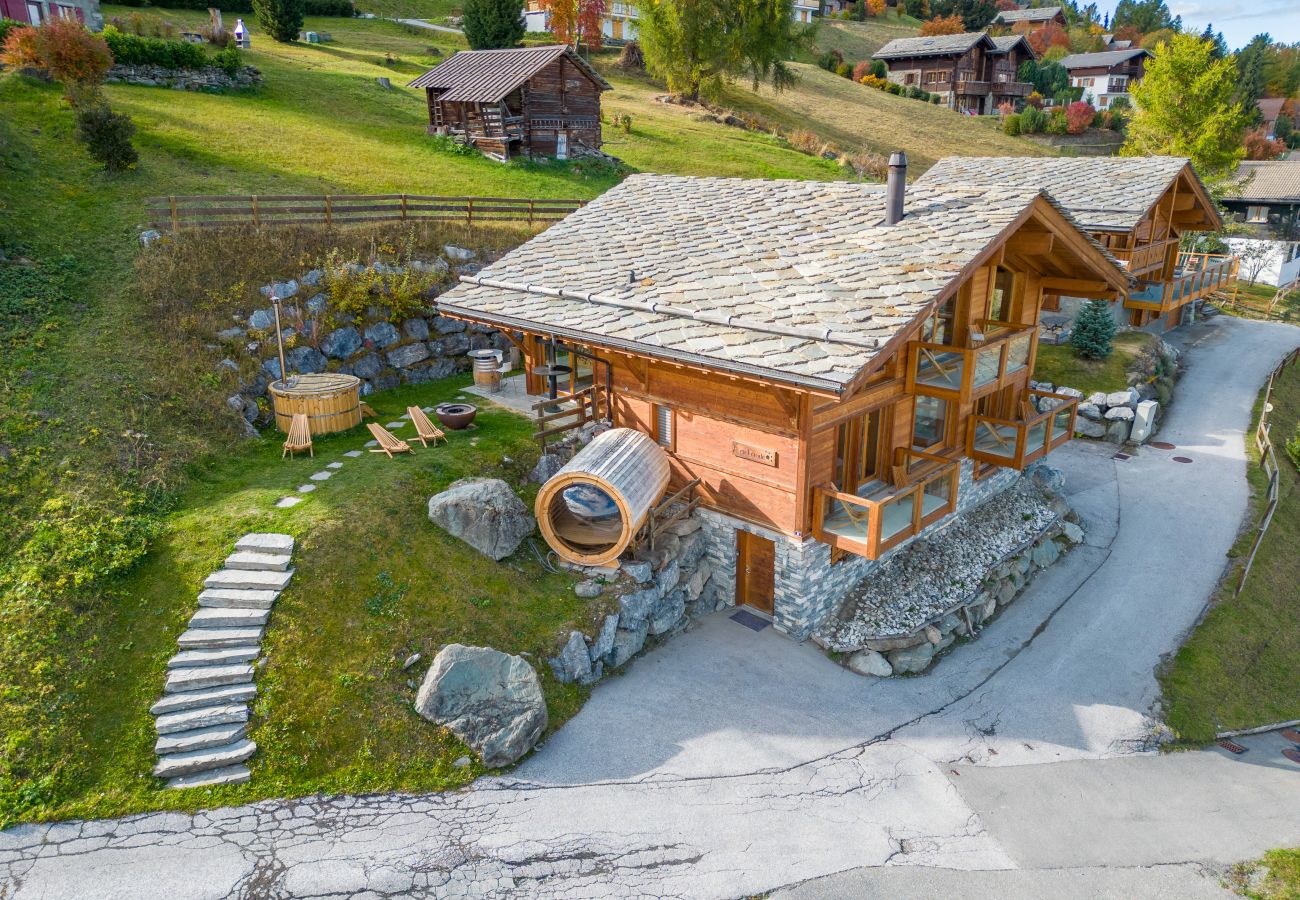 Chalet à Haute-Nendaz - Chalet Ciel Etoilé - vue splendide